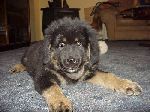 She is growing into ,,somthing,,