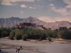 Tibet