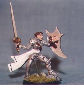 040203Paladinf.jpg (20370 bytes)