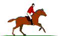 Horse-02.gif (14707 bytes)