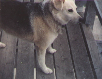 Buffy on the porch