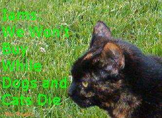Click here to go to the national Iams boycott!