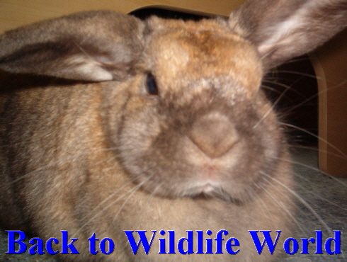 Picture taken by Amy Kaplan. No unauthorized use.