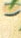 A linless mermaid. aint she pretty? (artistic nudity! Cover your eyes!!)