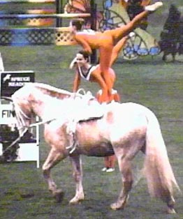 Pairs vaulting.