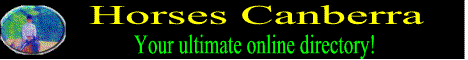 Horses Canberra - Your Ultimate Online Directory!