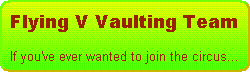Flying V Vaulting Team