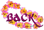 sm9back