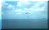 coast4.jpg (18499 �Ӧ줸��)