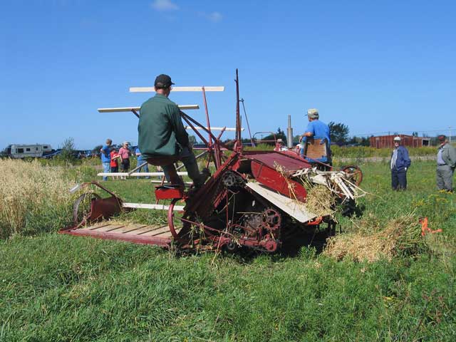 Binding grain