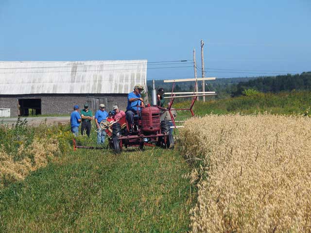 Ron drives the tractor while Jerry operates the binder