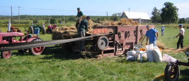 Thrashing grain