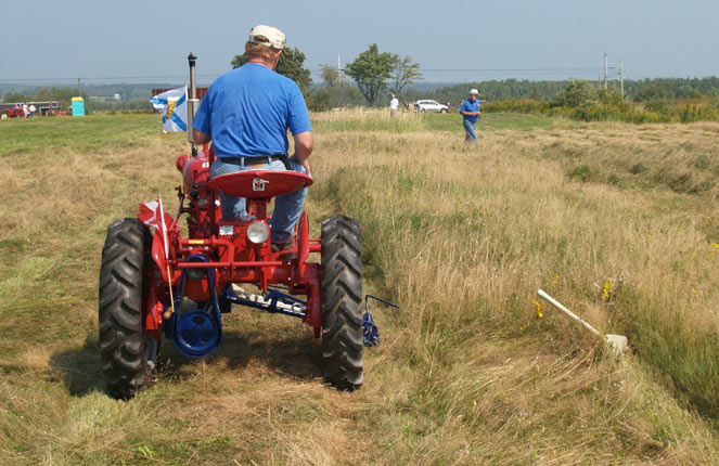 Farmall mowing hay