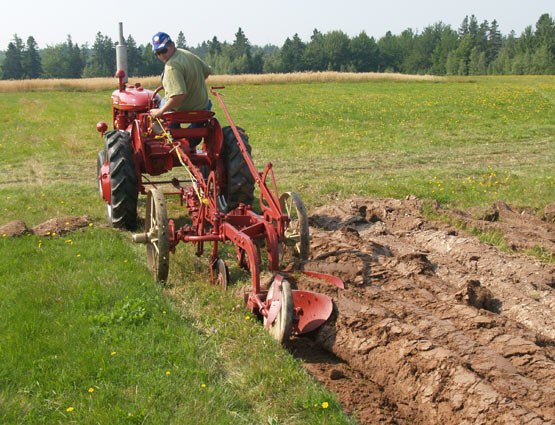 Ploughing with Farmall A and trailing plough