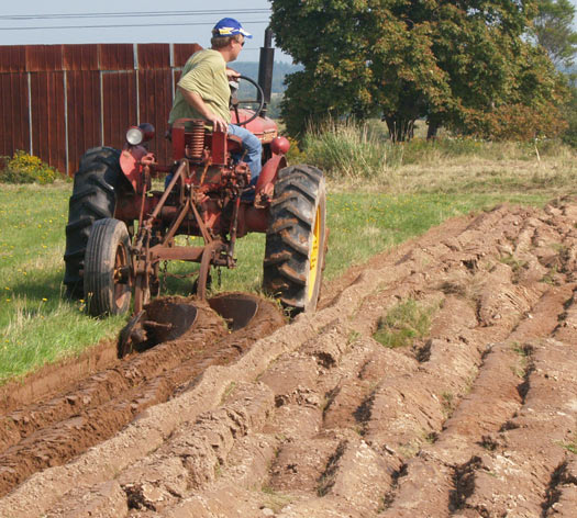 Ploughing with Cockshutt 20