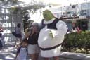 23_Shrek