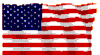 US Flag - Freedom Flag