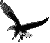 NoLogo