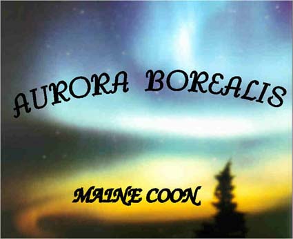 AURORA BOREALIS (n&ouml;rdliches Polarlicht)