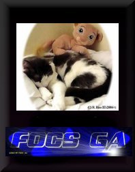 Website was designed and maintained by FOCS_GA.