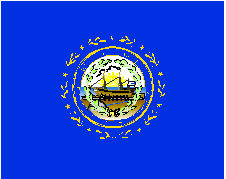 [New Hampshire Flag]