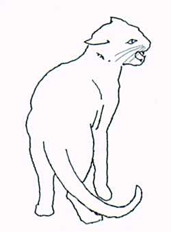 [Annoyed Cat]