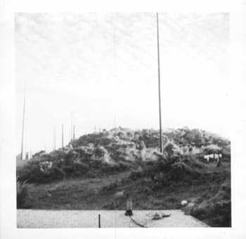 [Antenna Poles]