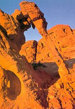 Elephant Rock