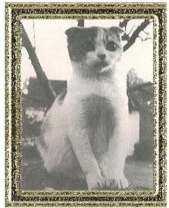 Minnie Pearl