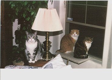 Teddi, Gus, Max