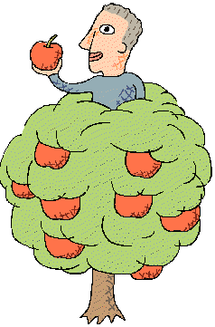 man finding apple in tree