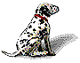 Dog: Pepper