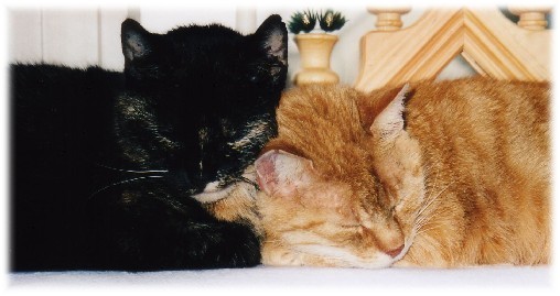 Euli & Knuddel