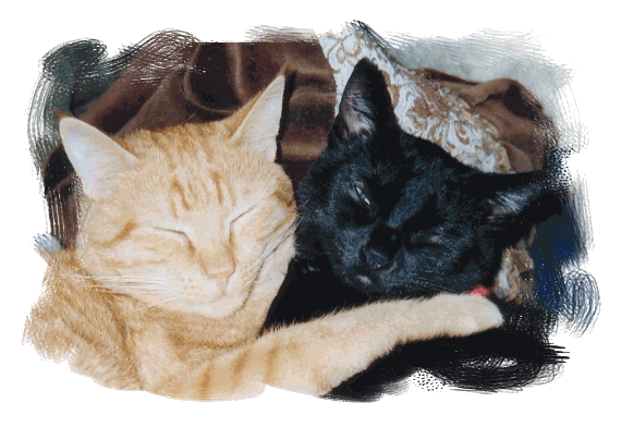 Murphy & Bonnie
