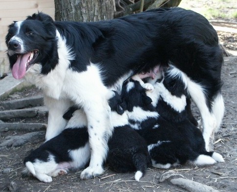 1baby9.jpg (64263 bytes)