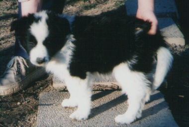 28-03-02-Nala.JPG (38317 bytes)