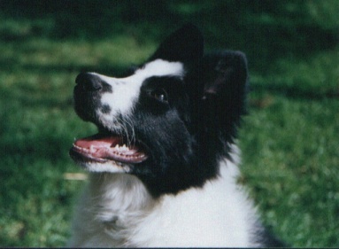 Nala0502-02.JPG (38009 bytes)