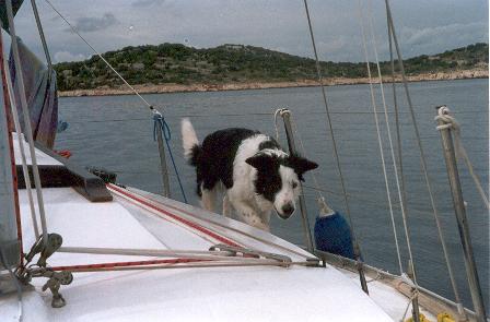 NelMorje3.jpg (25415 bytes)