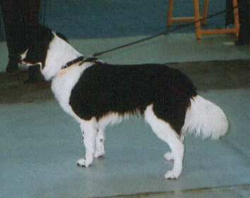 Vrtojba03-Nala01.JPG (38530 bytes)