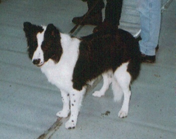 Vrtojba03-Nala02.JPG (38811 bytes)
