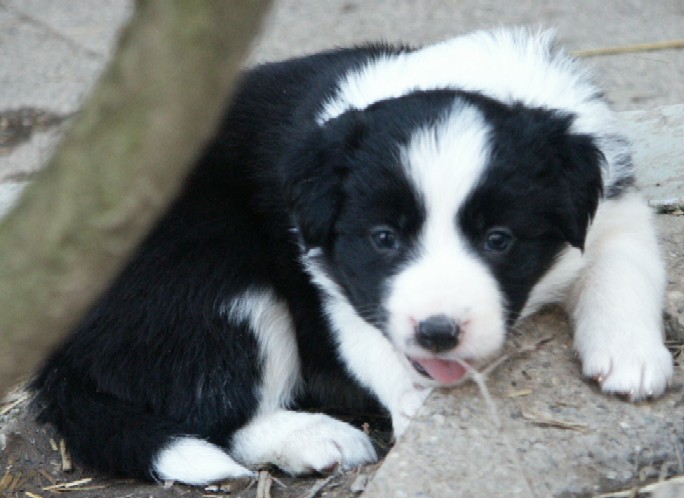 baby21.jpg (70890 bytes)