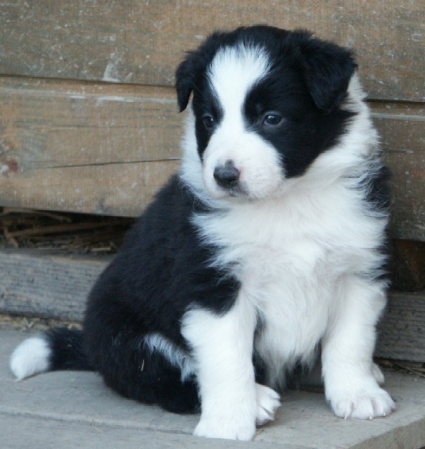 baby22.jpg (80481 bytes)