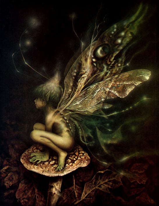 Fairy by Brian Froud