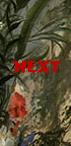 Next