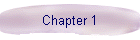Chapter 1