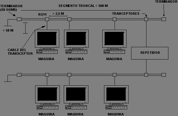 figura5redes.png (3920 bytes)