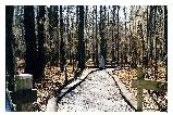 Path to Fonteneau Memorial.