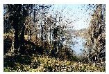 Coosa River view.