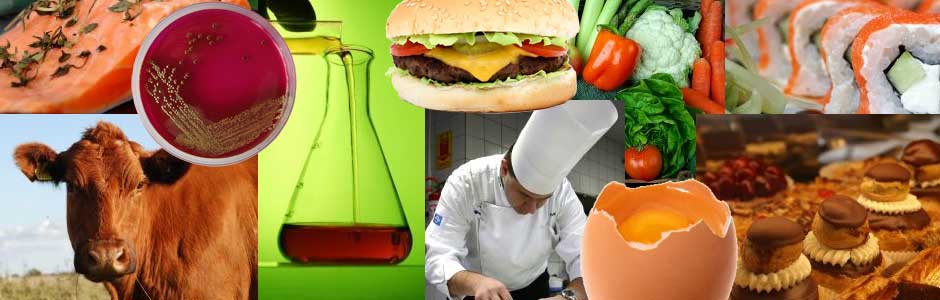 food safety