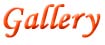 Orange Road Gallery